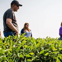 environmental-agricultural-sciences-
