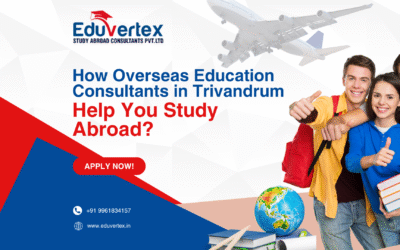 How Overseas Education Consultants in Trivandrum Help You Study Abroad?