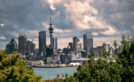 Study in New Zealand Eduvertex